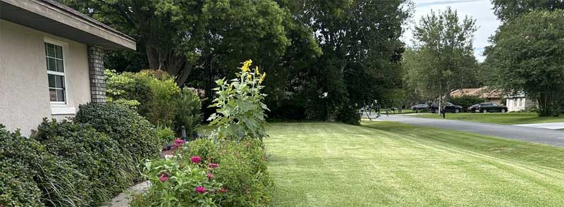 John Washington Shares the Secrets of Lawn Care