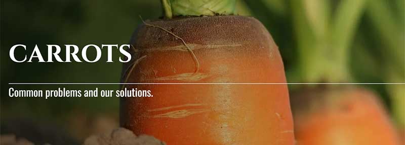 Carrot Growers are Prepping with TELONE™ by Teleos Carrot Growers are Prepping with TELONE™ by Teleos