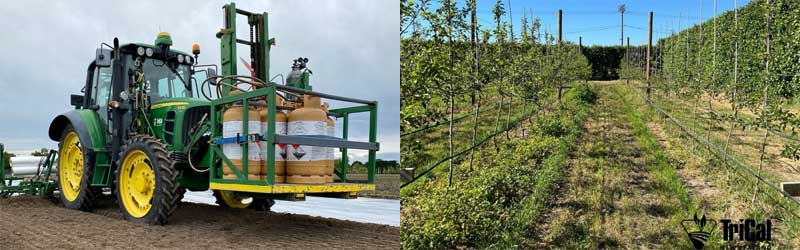 Trical New Zealand on Tackling Apple Replant Disease