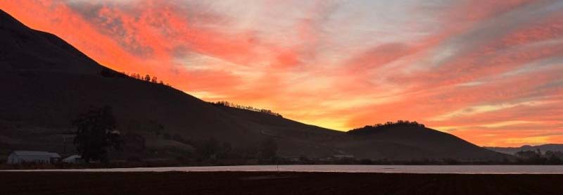 Sunrise over Raspberry Fields in California